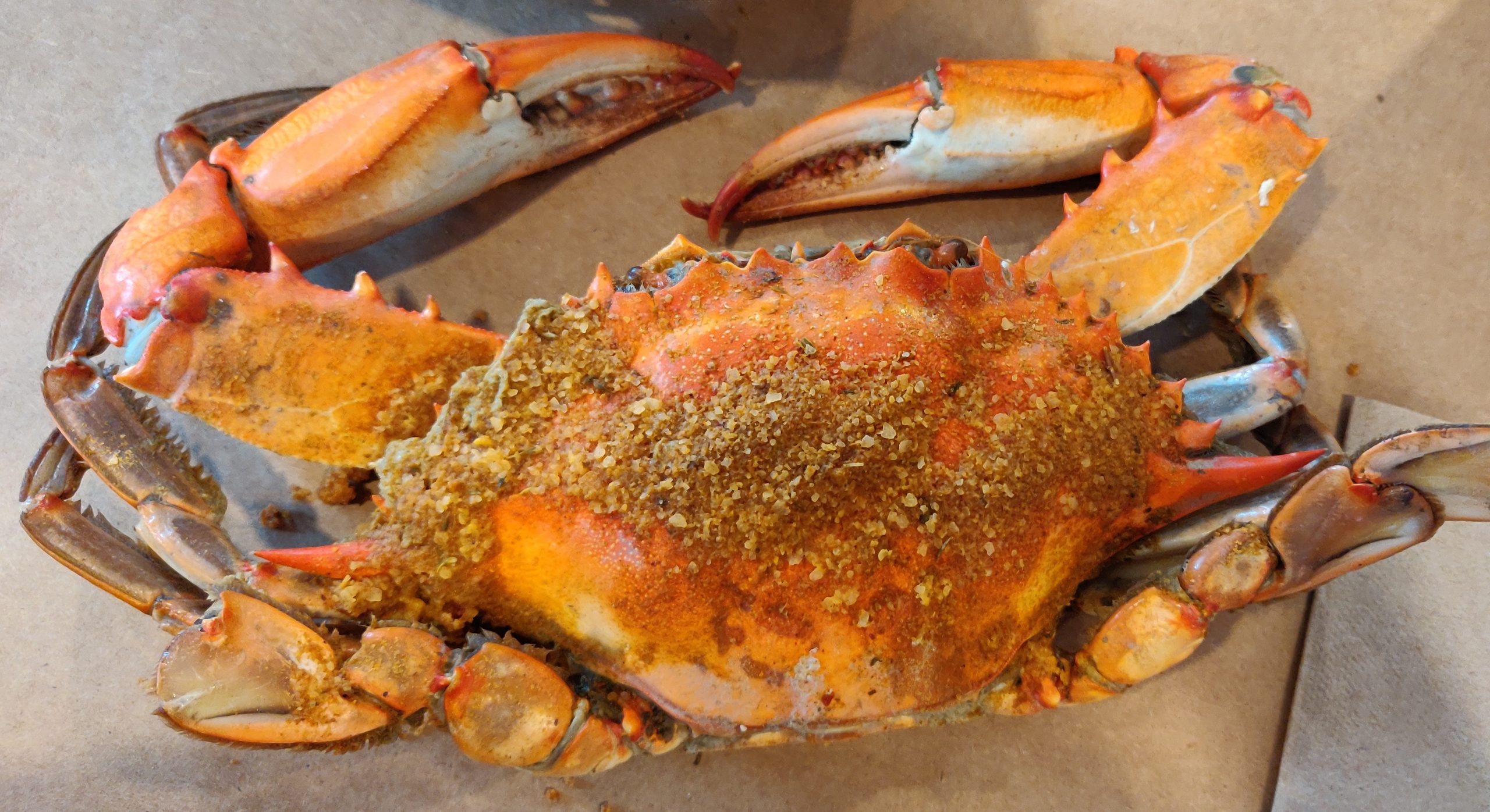 Locus Point Steamers YUMMY 4 UR TUMMY